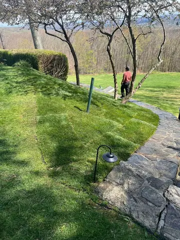 Sod Prep and Installation in Woodbury, CT