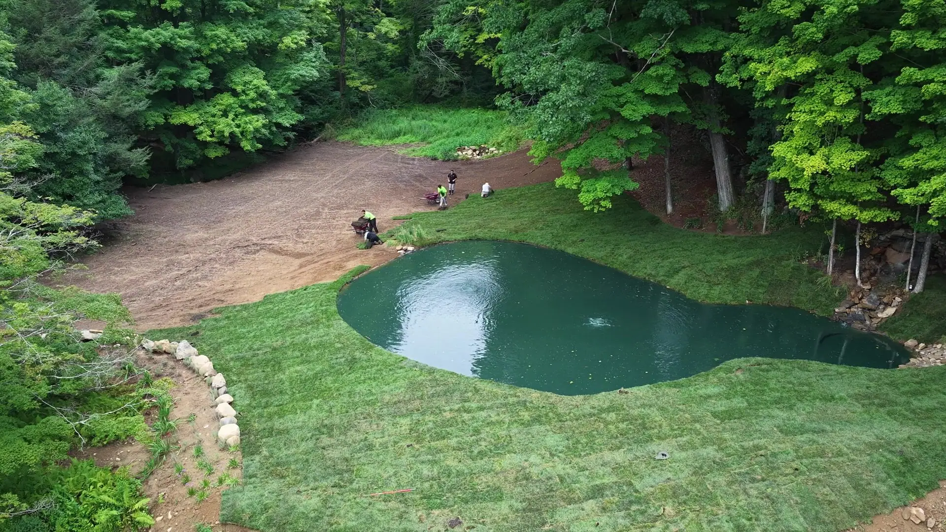 Overhead installation-day view of tall fescue being fitted to the pond edge in Bridgewater, Connecticut