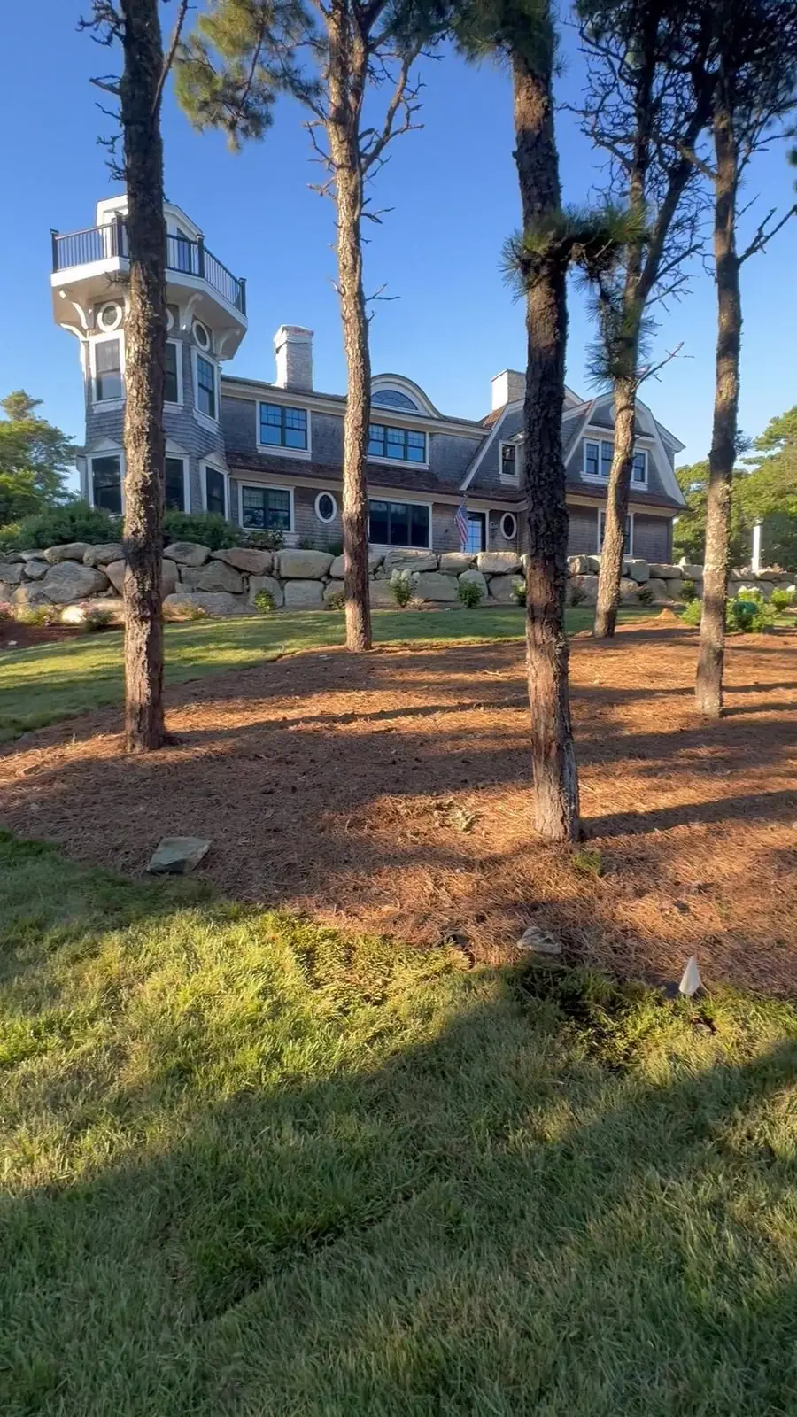 Walking the new lawn on install evening — fresh sod running beneath the pines toward the shingled main house