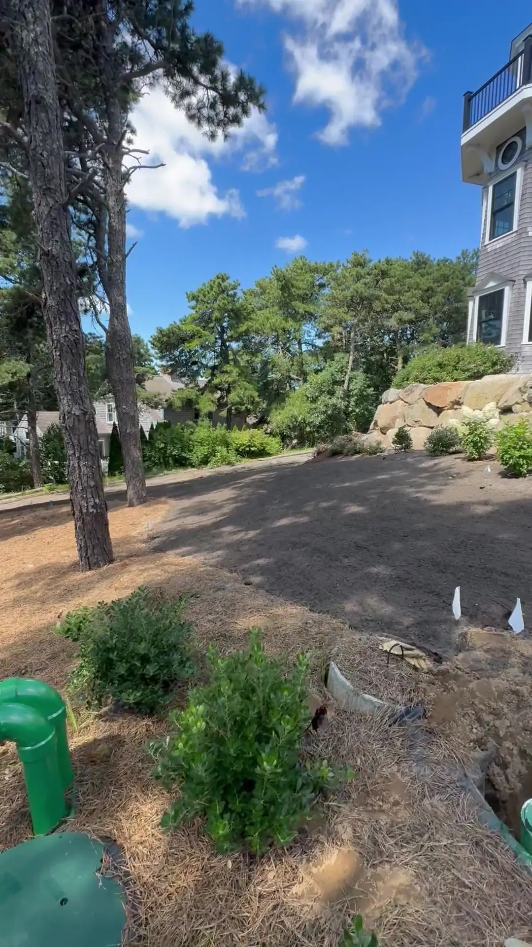 A walkthrough of the prepared Chatham lawn areas beneath the pines, from the road-side grade back toward the house and stonework