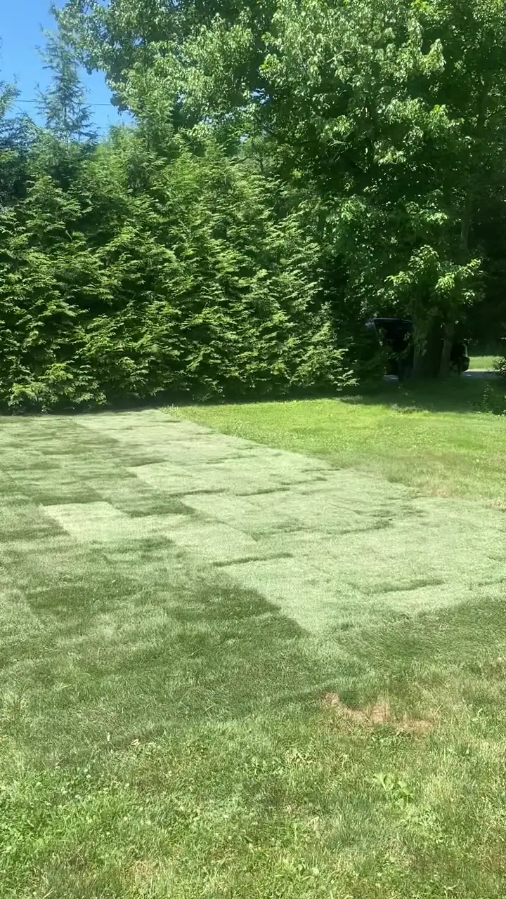 The finished 800 sq ft of farm-cut Kentucky Bluegrass sod in Easton, CT