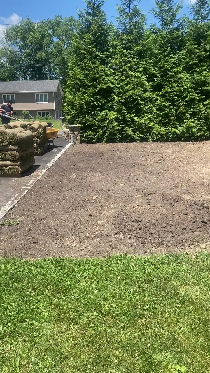 Fresh-cut Kentucky Bluegrass pallets staged on the driveway before the Easton, CT sod install
