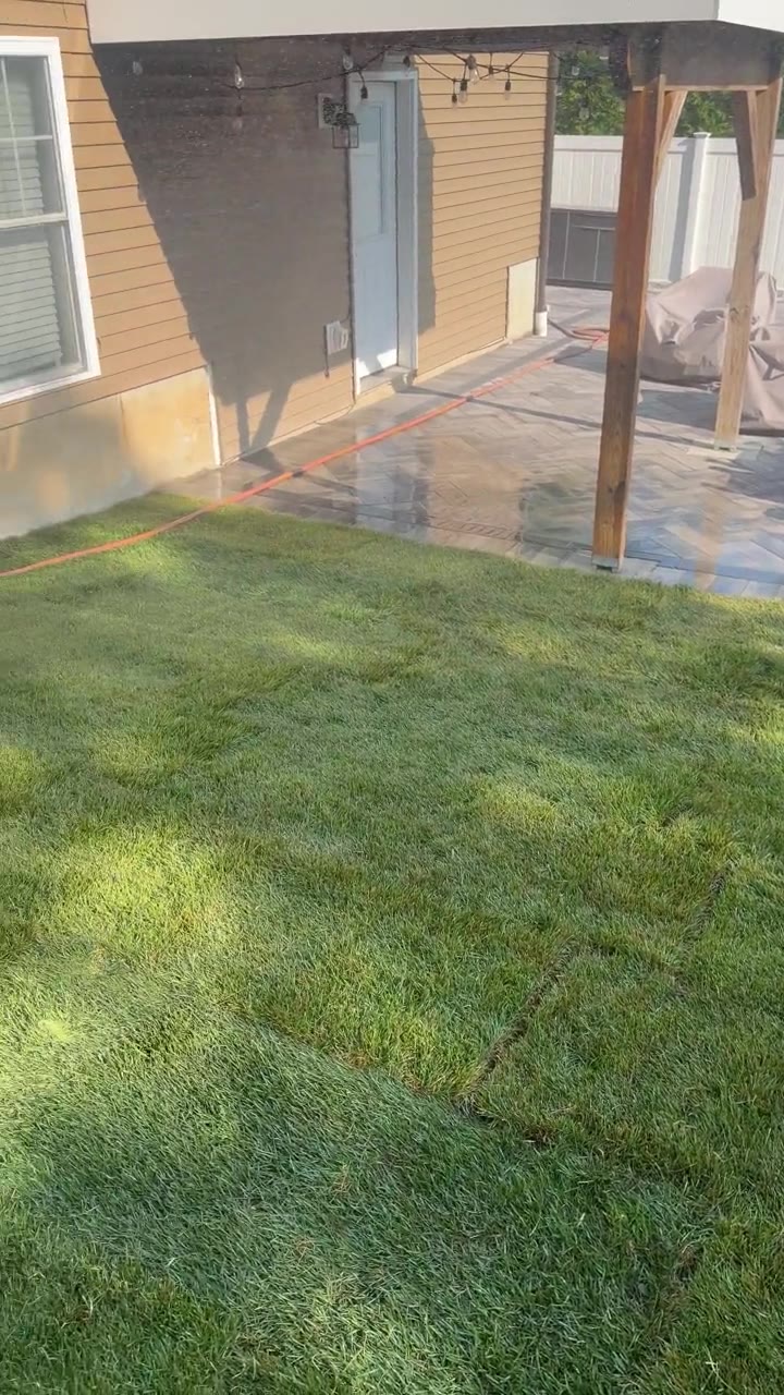 From the fence-line side run up to the brand-new paver patio — fresh Kentucky bluegrass wall to wall, laid the same day the prep finished