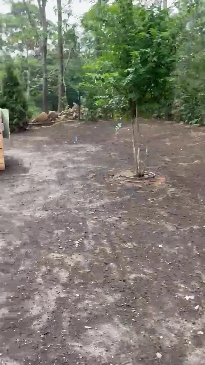 The builder walks the graded, paint-marked site with CT Sod before the 4,500 sq ft Montauk, NY sod installation