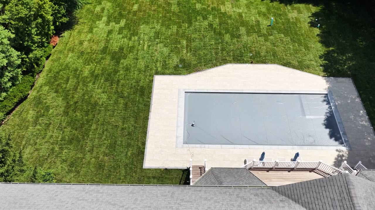 Straight over the pool and patio — the new bluegrass runs wall to wall from the coping to the tree line