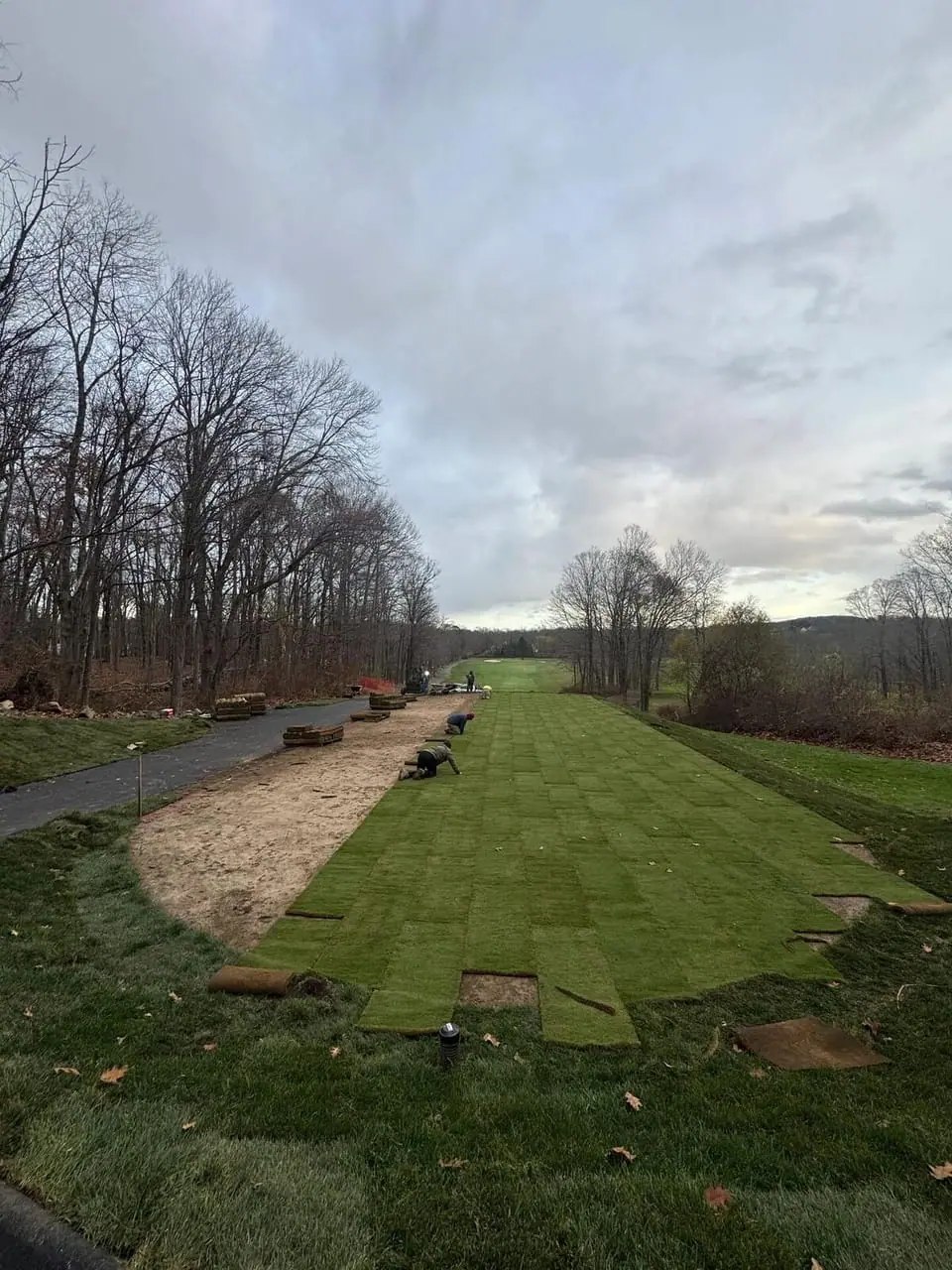Golf Course Sod Supplier