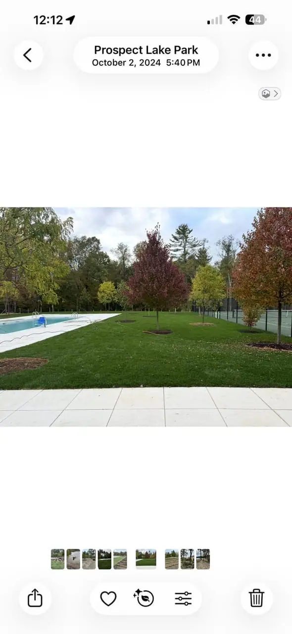 CT Sod crew installing fresh sod (5)