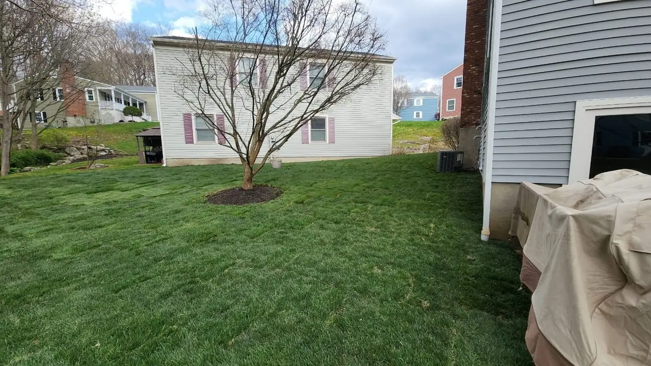 CT Sod crew installing fresh sod (6)