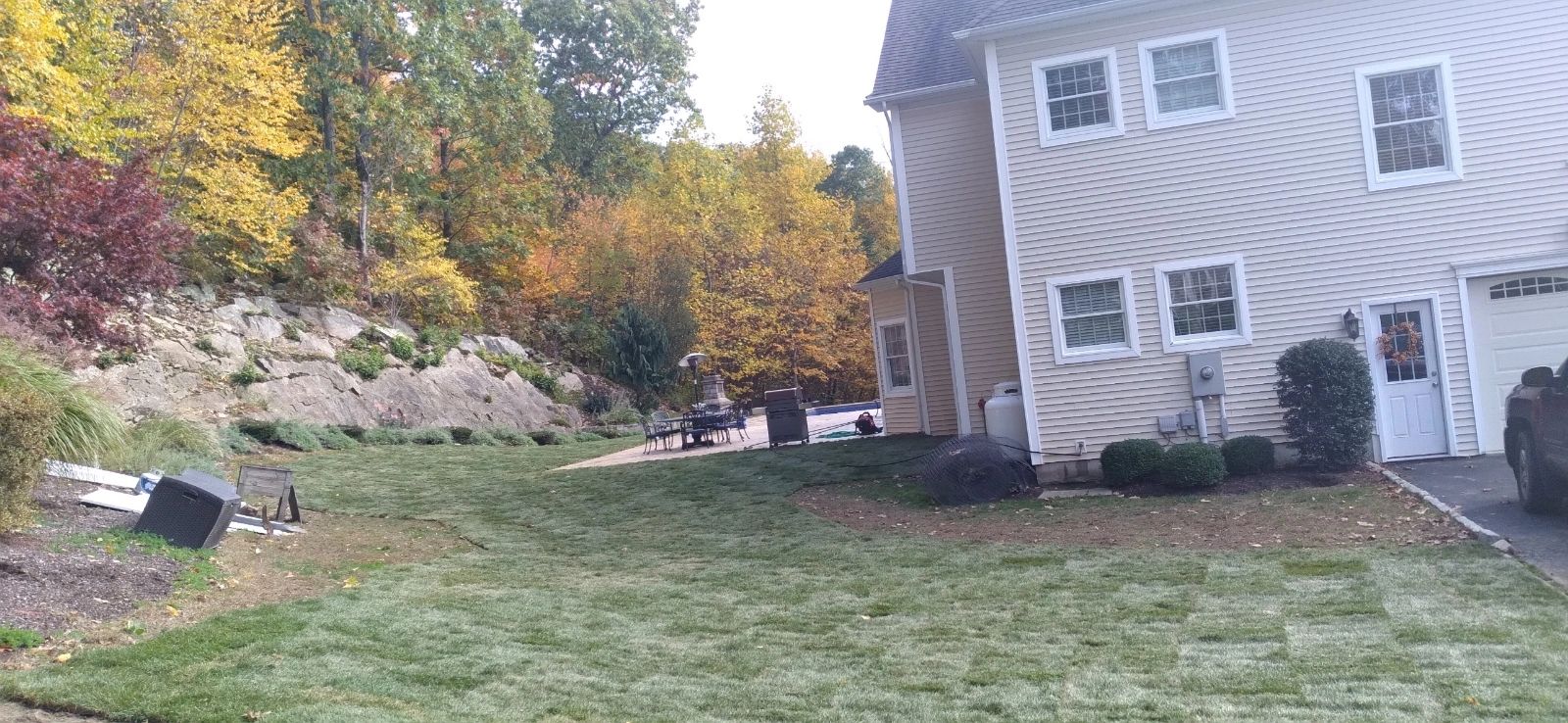 back and side yard with newly installed kentucky bluegrass sod