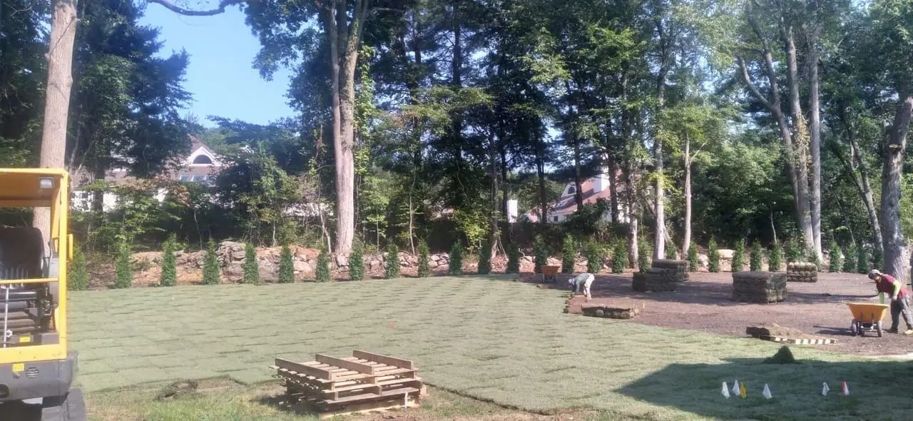CT Sod crew installing fresh sod (1)
