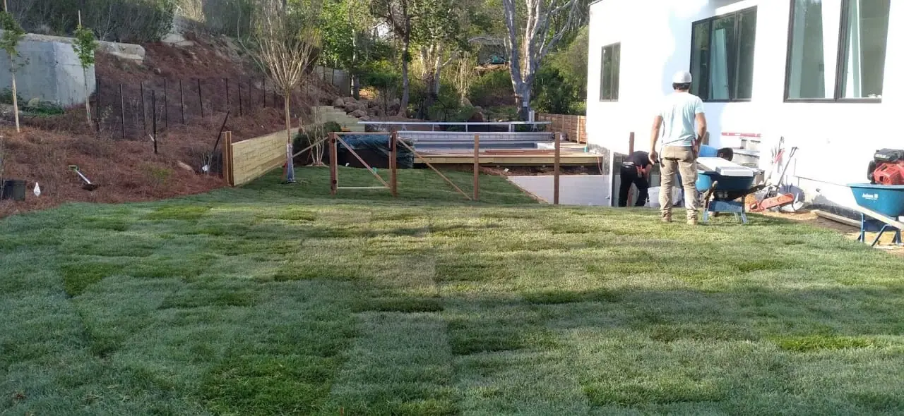 CT Sod crew installing fresh sod (9)