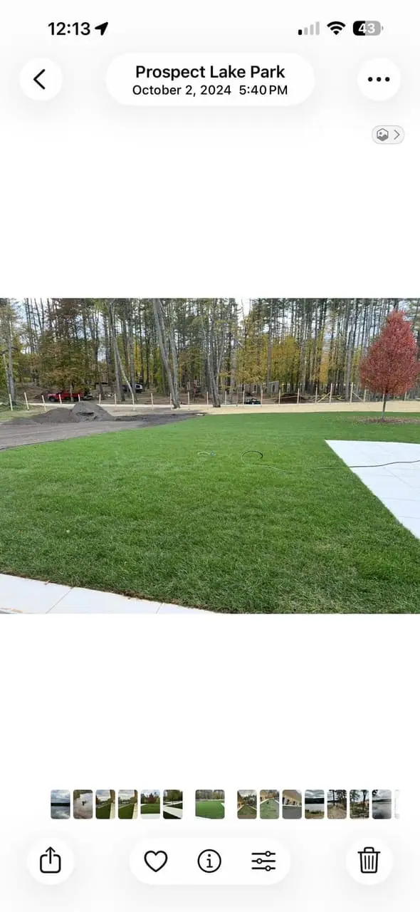 CT Sod crew installing fresh sod (11)