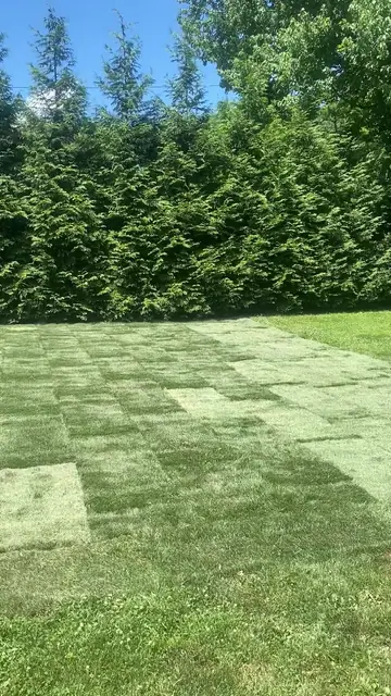 Sod Installation in Easton, CT: 800 Sq Ft Kentucky Bluegrass