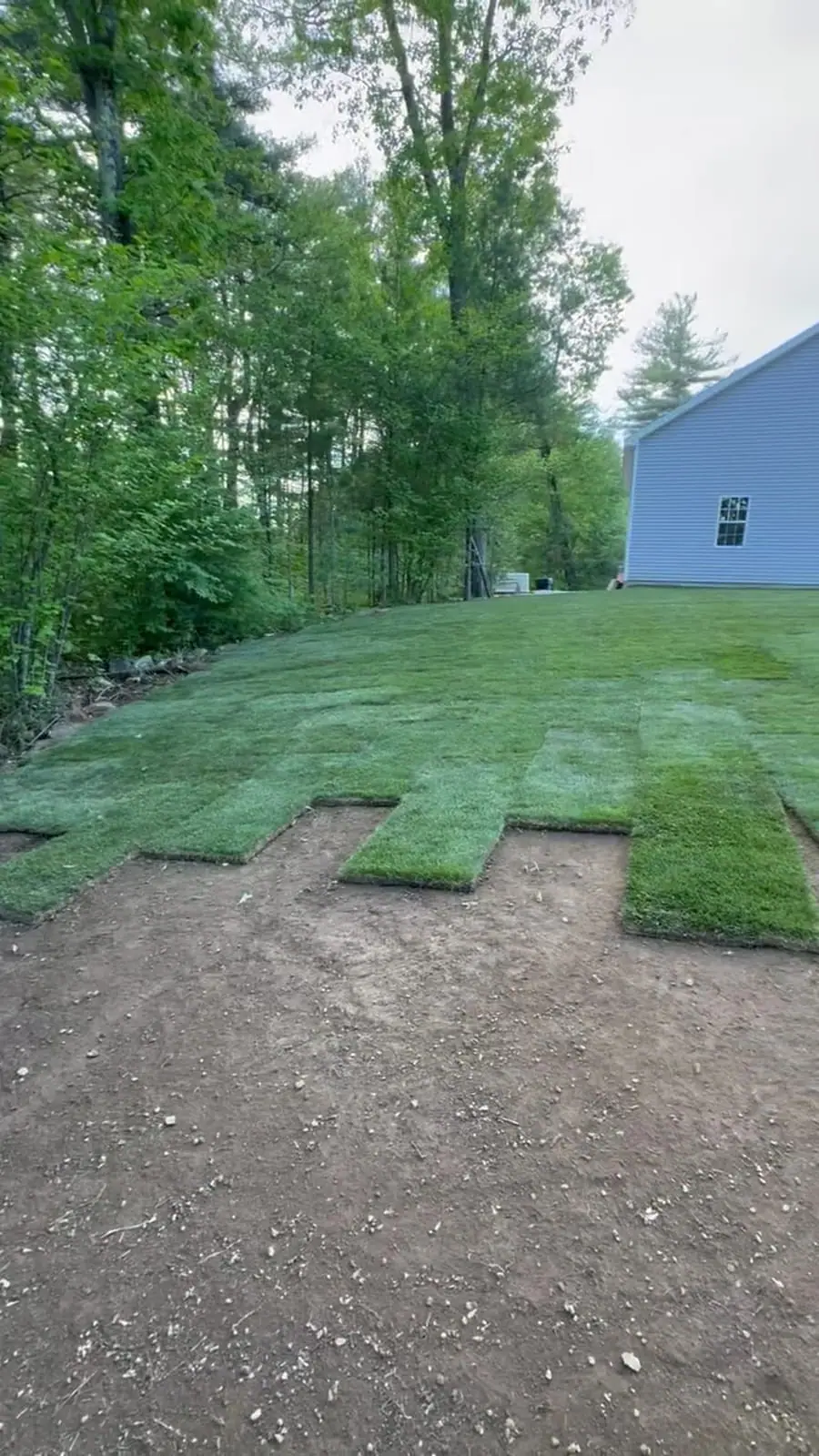 CT Sod crew laying fresh-cut Kentucky Bluegrass sod on an 8,000 sq ft Millbury, MA lawn