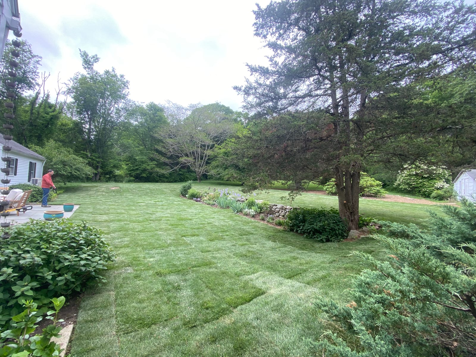 6,000 square feet of fresh sod installed in a Westbrook CT backyard, green and finished in a single day