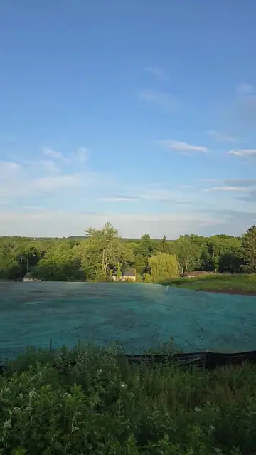 What Is Hydroseeding? How It Works and What to Expect