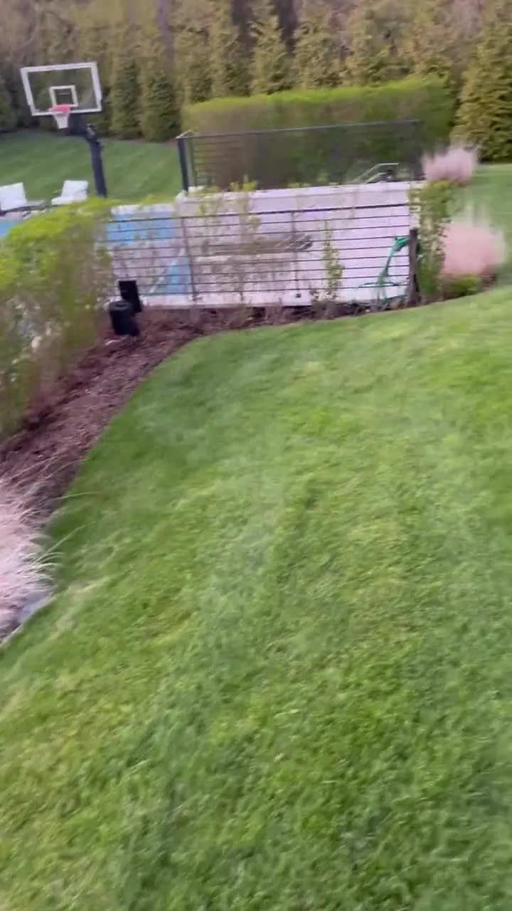 Established CT Sod tall fescue lawn at a Water Mill, NY estate, four years after installation